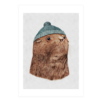 The Fur Seal (Print Only)
