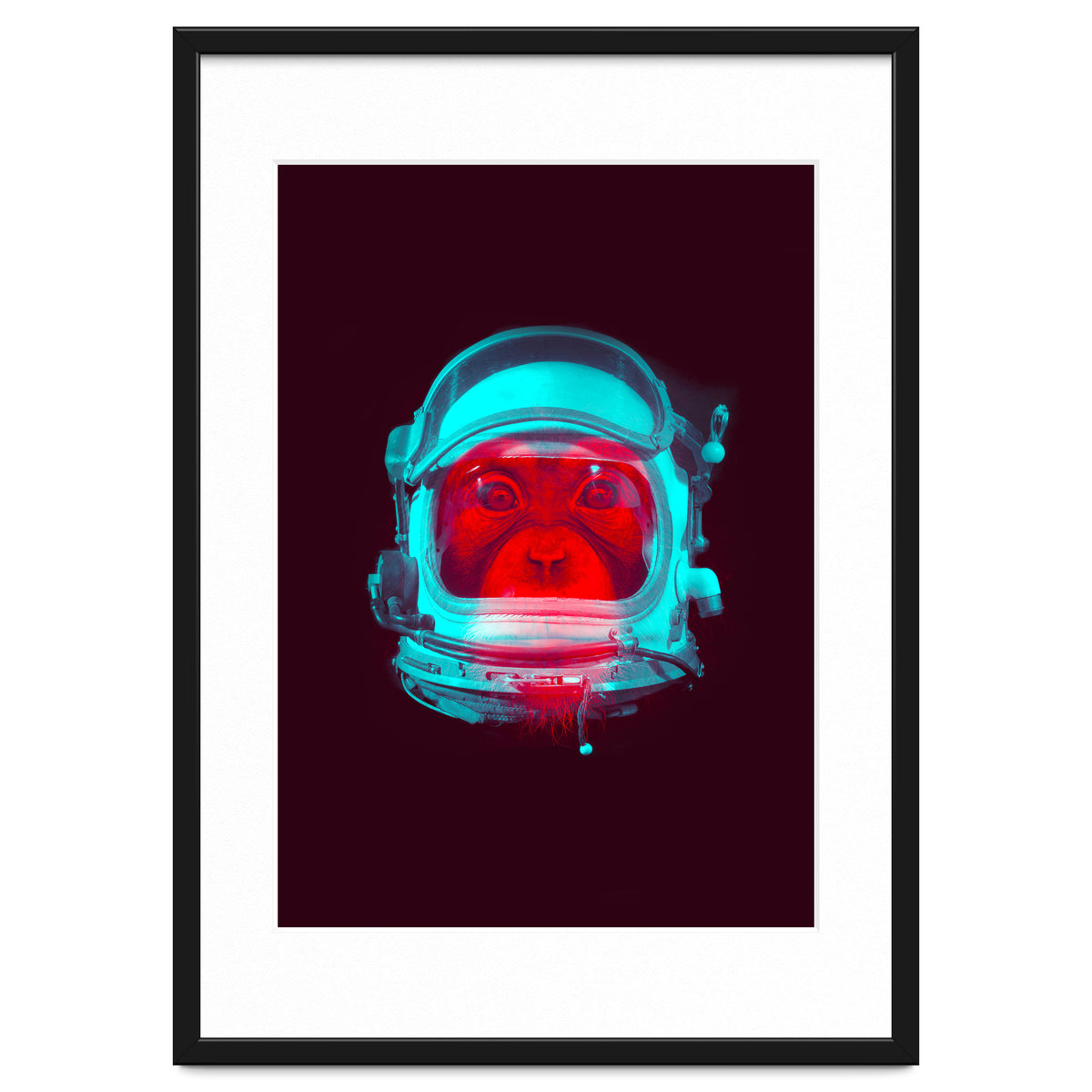 Astronaut