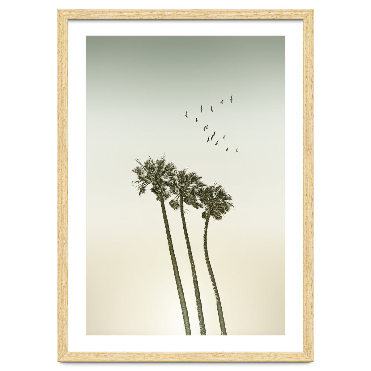 Vintage palm trees at sunset