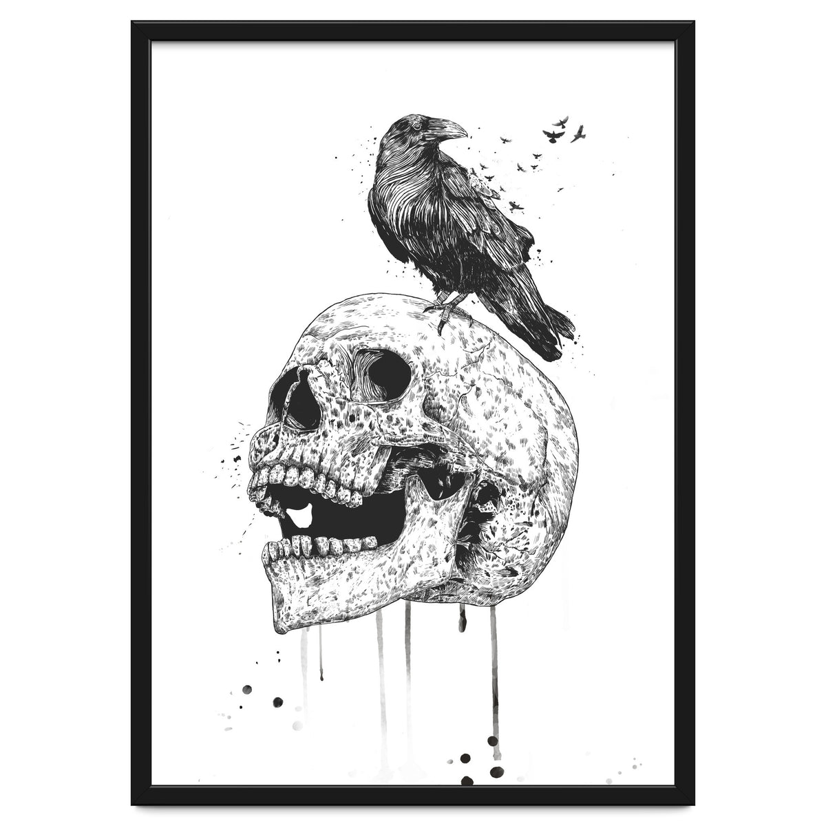 New Skull (bw)