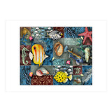 Sea Life Collage (Print Only) thumbnail