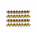 Butterfly Dance (Print Only) thumbnail