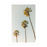 California (Print Only) thumbnail