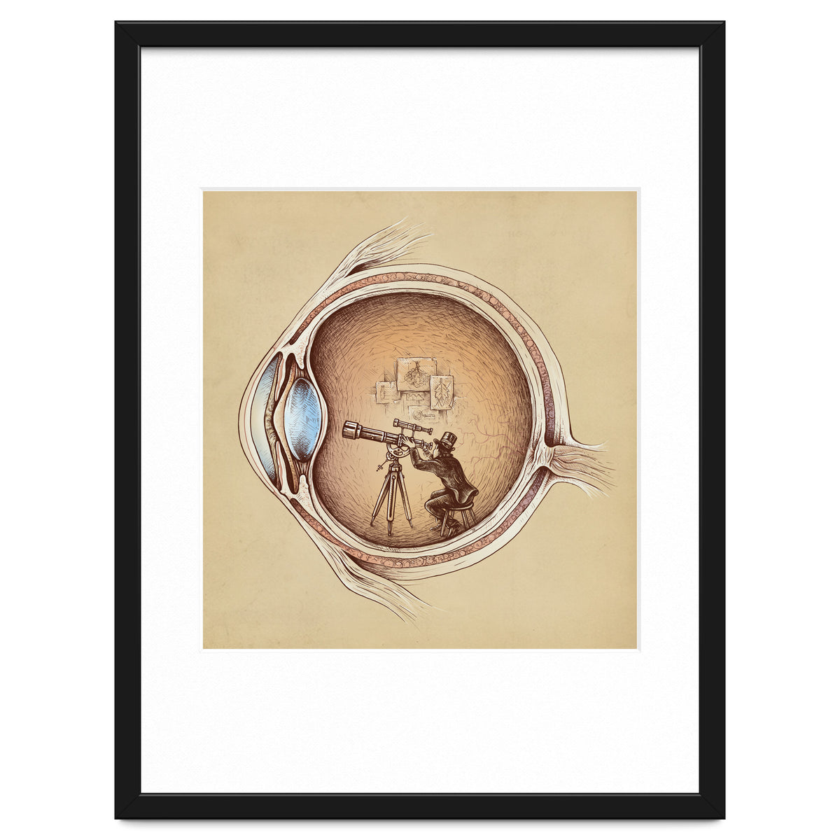 Extraordinary Observer