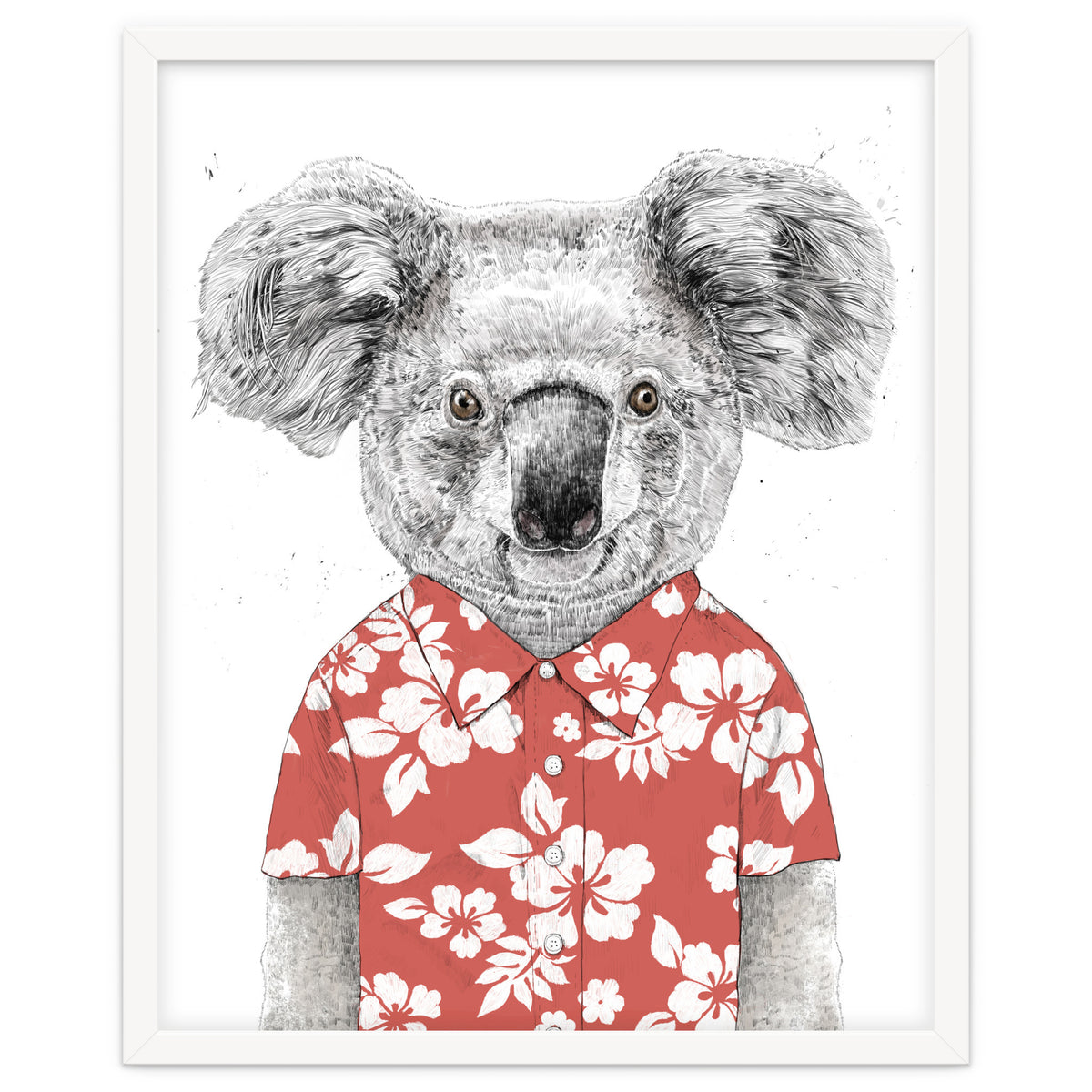 Summer Koala