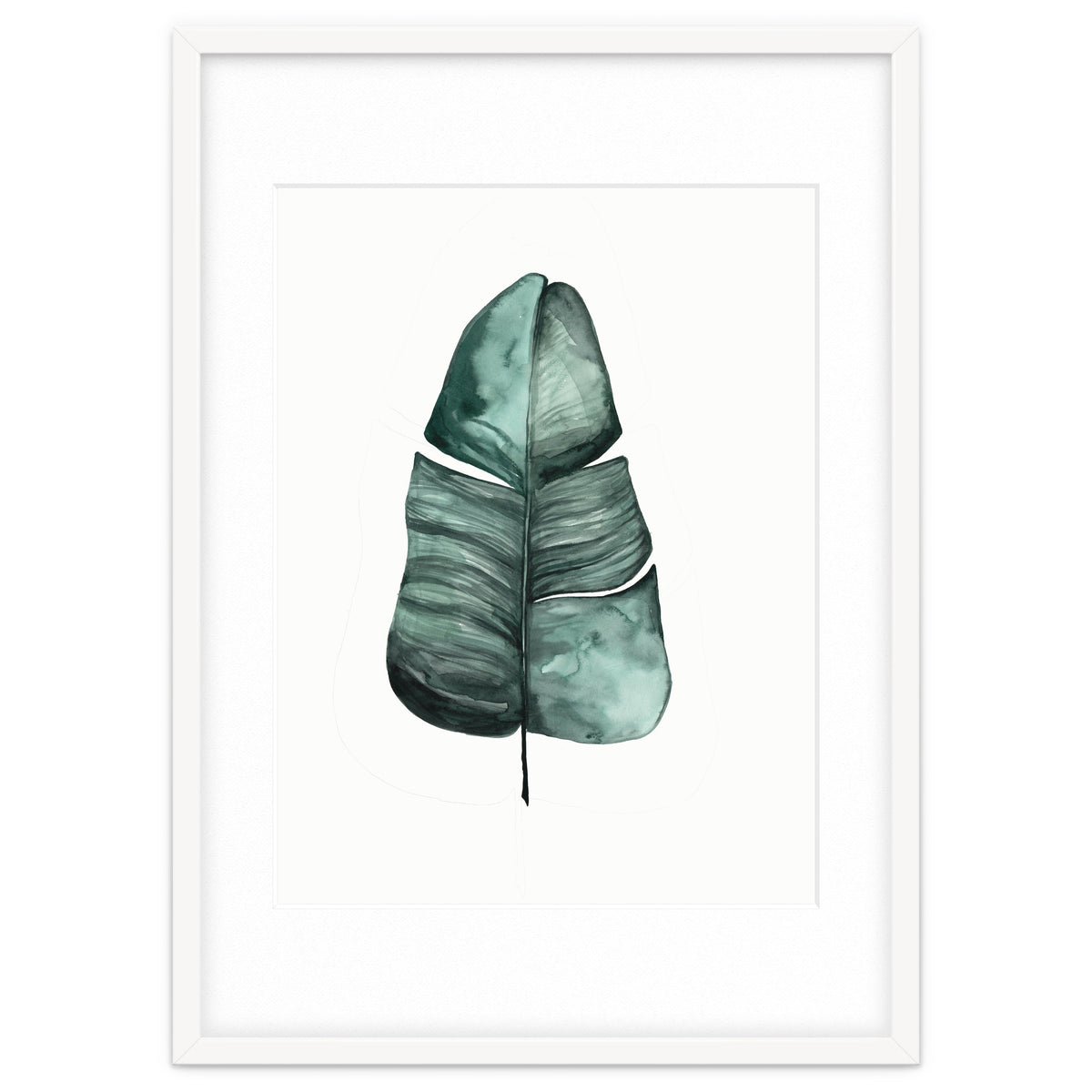 Botanical Illustration Banana Leaf