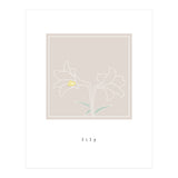 lily flower (Print Only) thumbnail