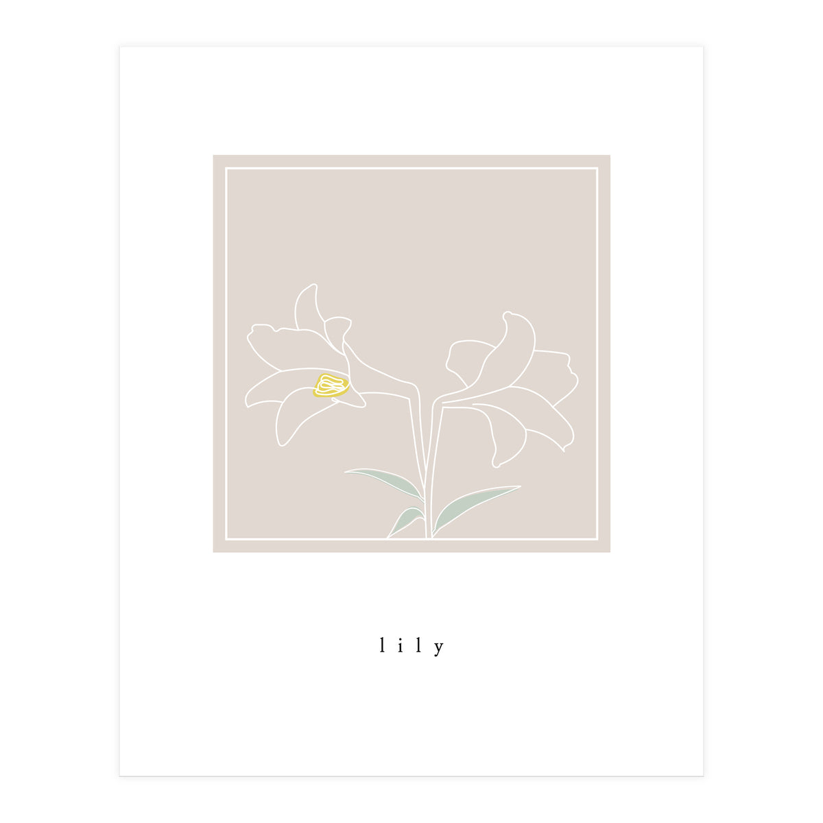 lily flower (Print Only)