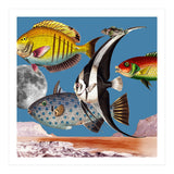 Fish World Blue (Print Only) thumbnail