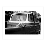 San Francisco (Print Only) thumbnail