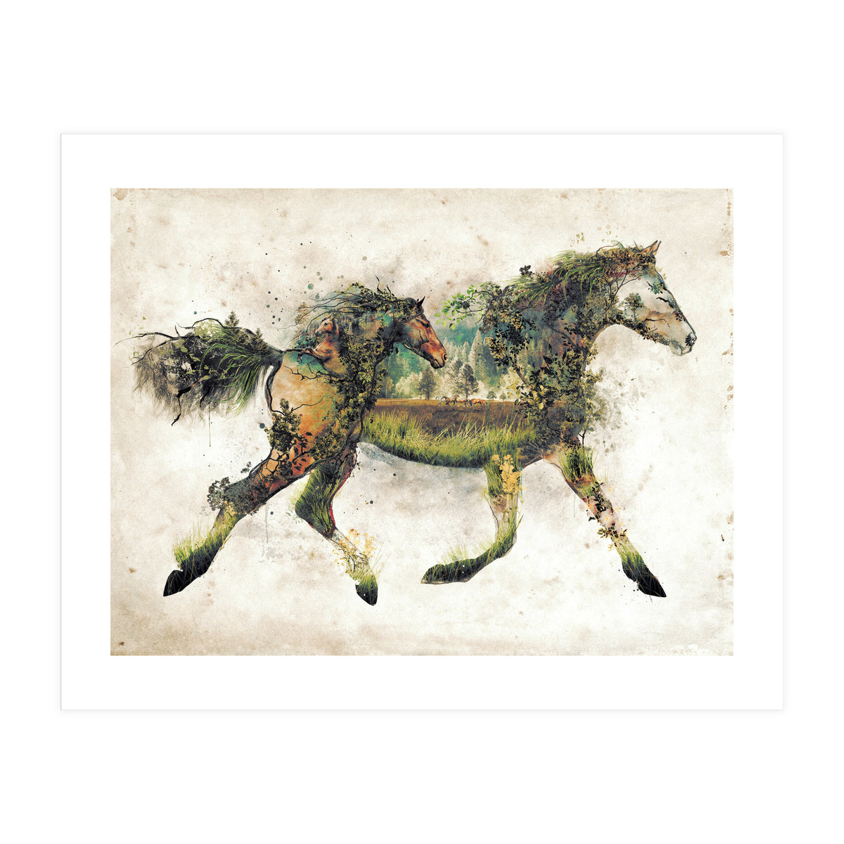 The Horse Surrealism (Print Only)