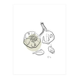 Garlic (Print Only) thumbnail