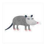 Possum (Print Only) thumbnail