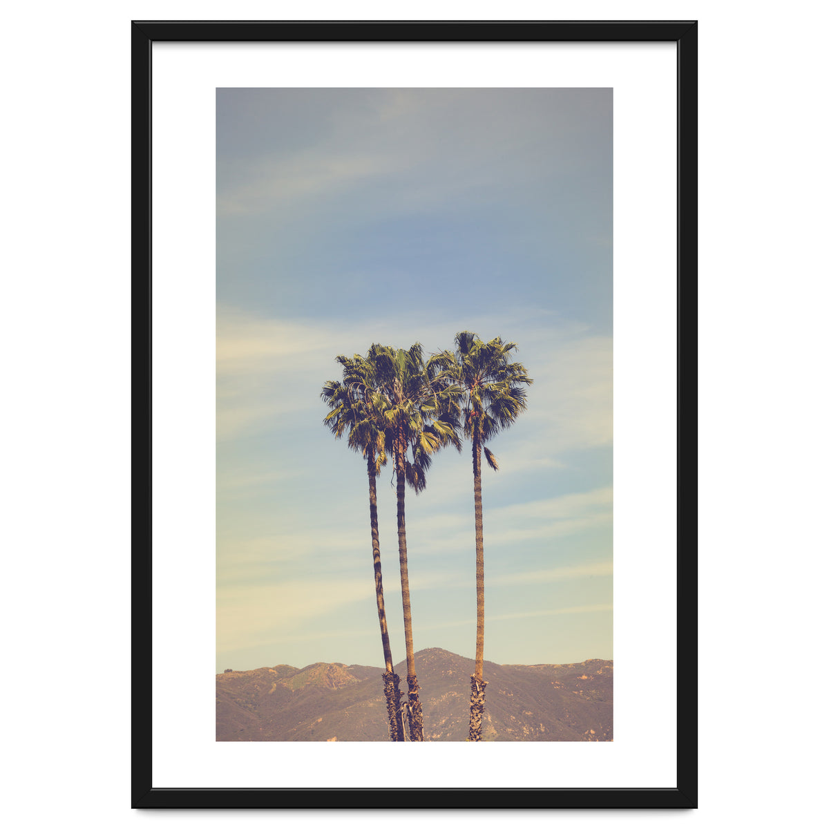 Summer in Los Angeles