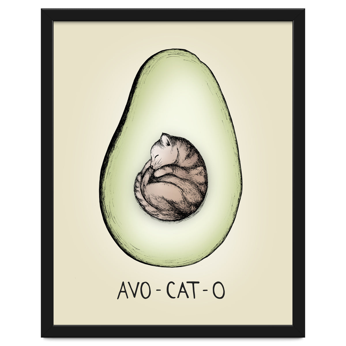 Avo-cat-o