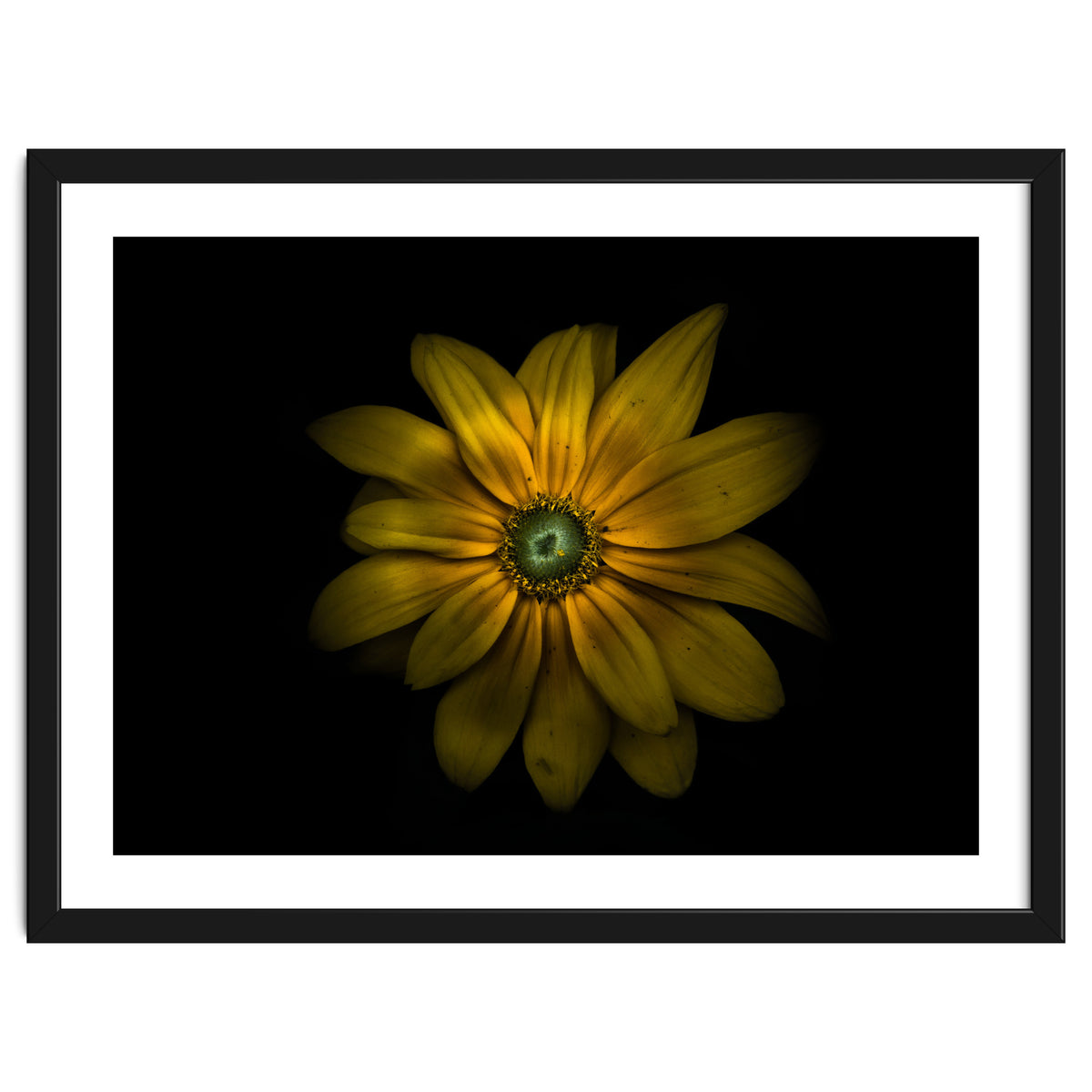 Backyard Flowers No 34 Color Version