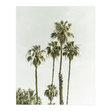 Palm Trees Summertime  (Print Only) thumbnail