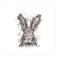 Rabbit - Wildlife Collection (Print Only)