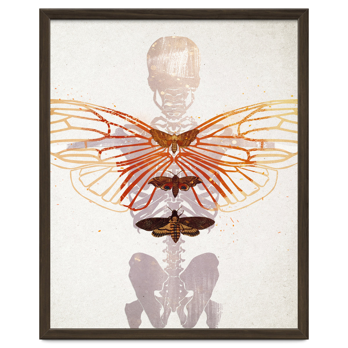 Ikarus - Like a Moth to the Flame