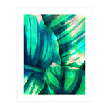 Moksha (Print Only) thumbnail