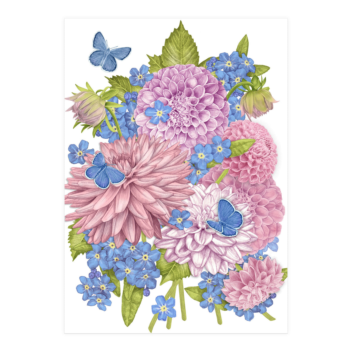 Pink Flowers and Butterflies (Print Only)