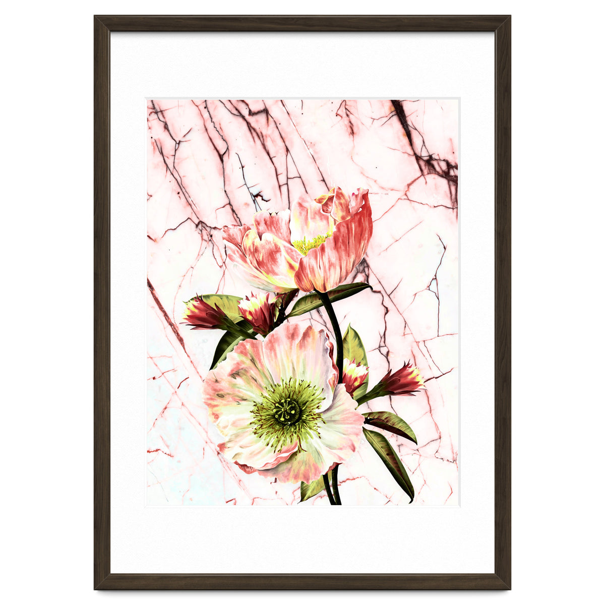 Flowering on pink marble