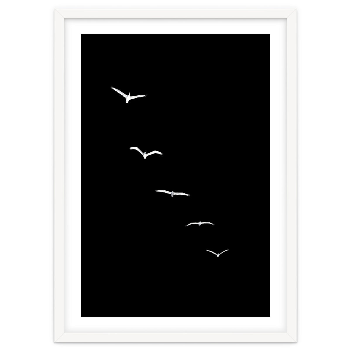 Heavenly Creatures Dark