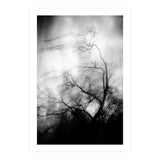 love wish (Print Only) thumbnail