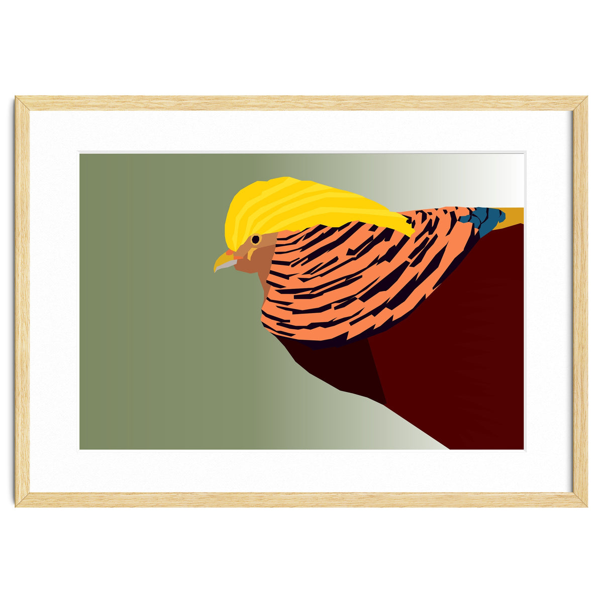 Golden Pheasant Bird Art