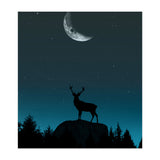 Wild Nature - Nocturne (Print Only) thumbnail