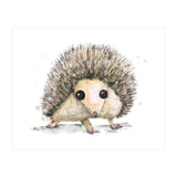 Hedgehog (Print Only) thumbnail