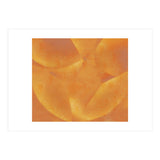 Mature Mango (Print Only) thumbnail