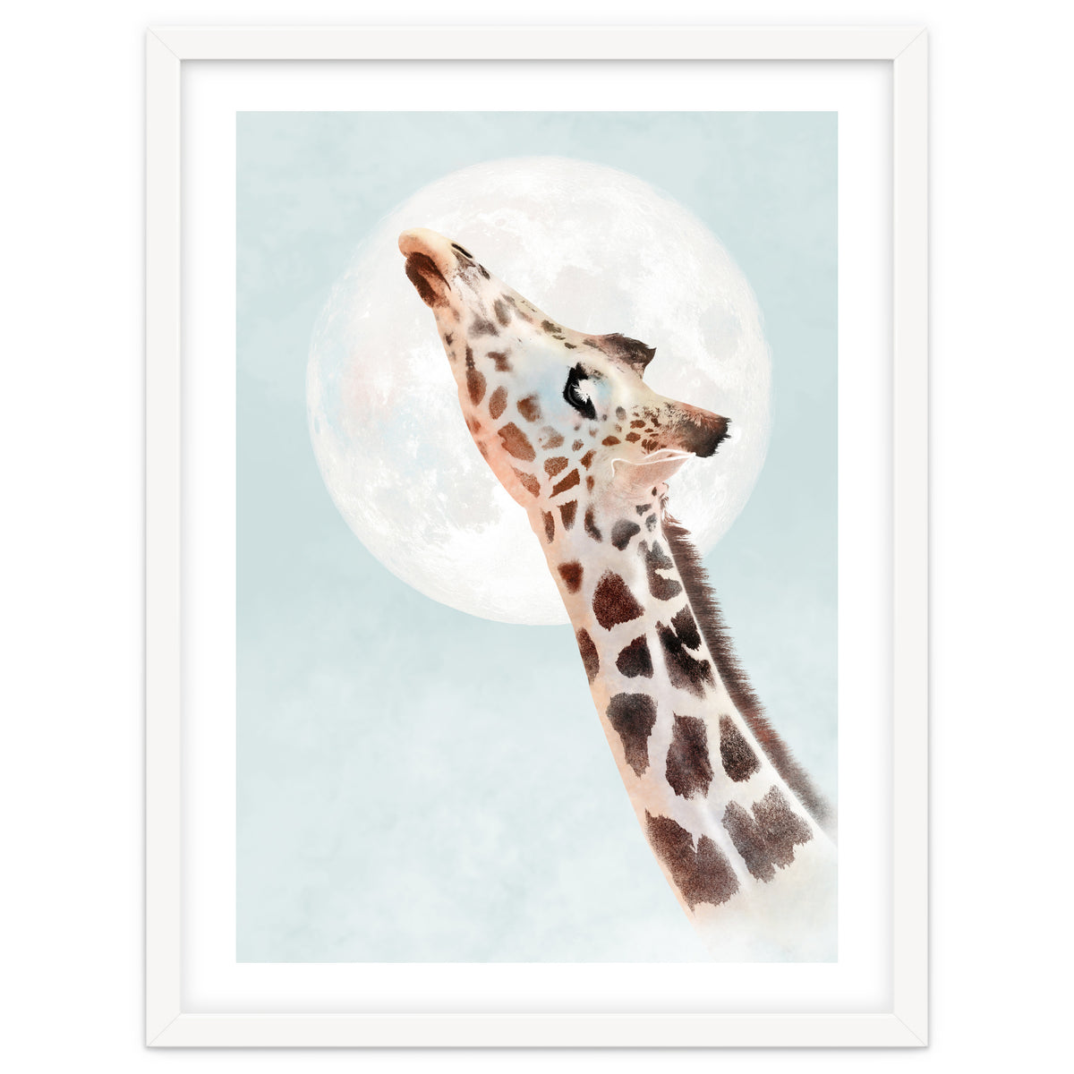 Giraffe And Moon