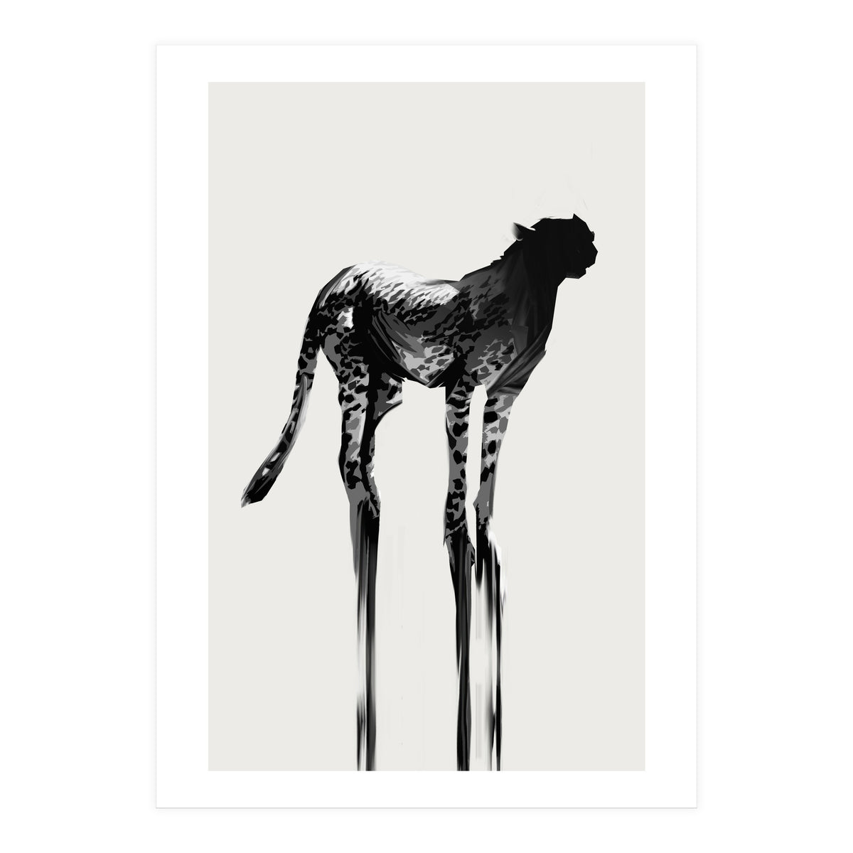 Cheetah  (Print Only)