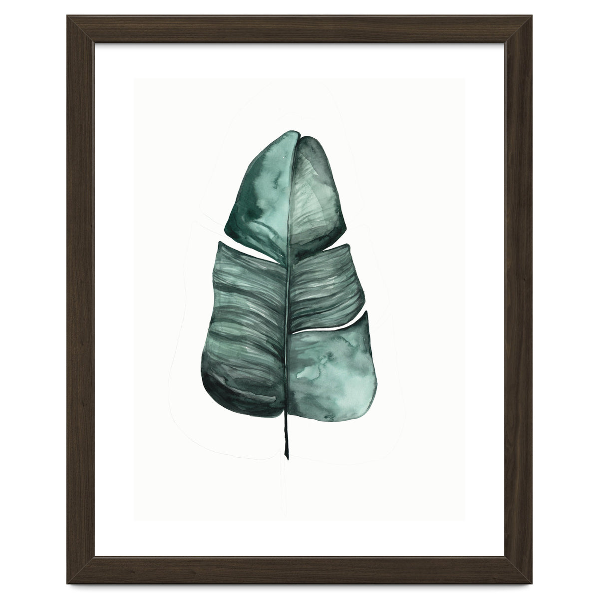 Botanical Illustration Banana Leaf