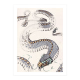 Dream Snake (Print Only) thumbnail