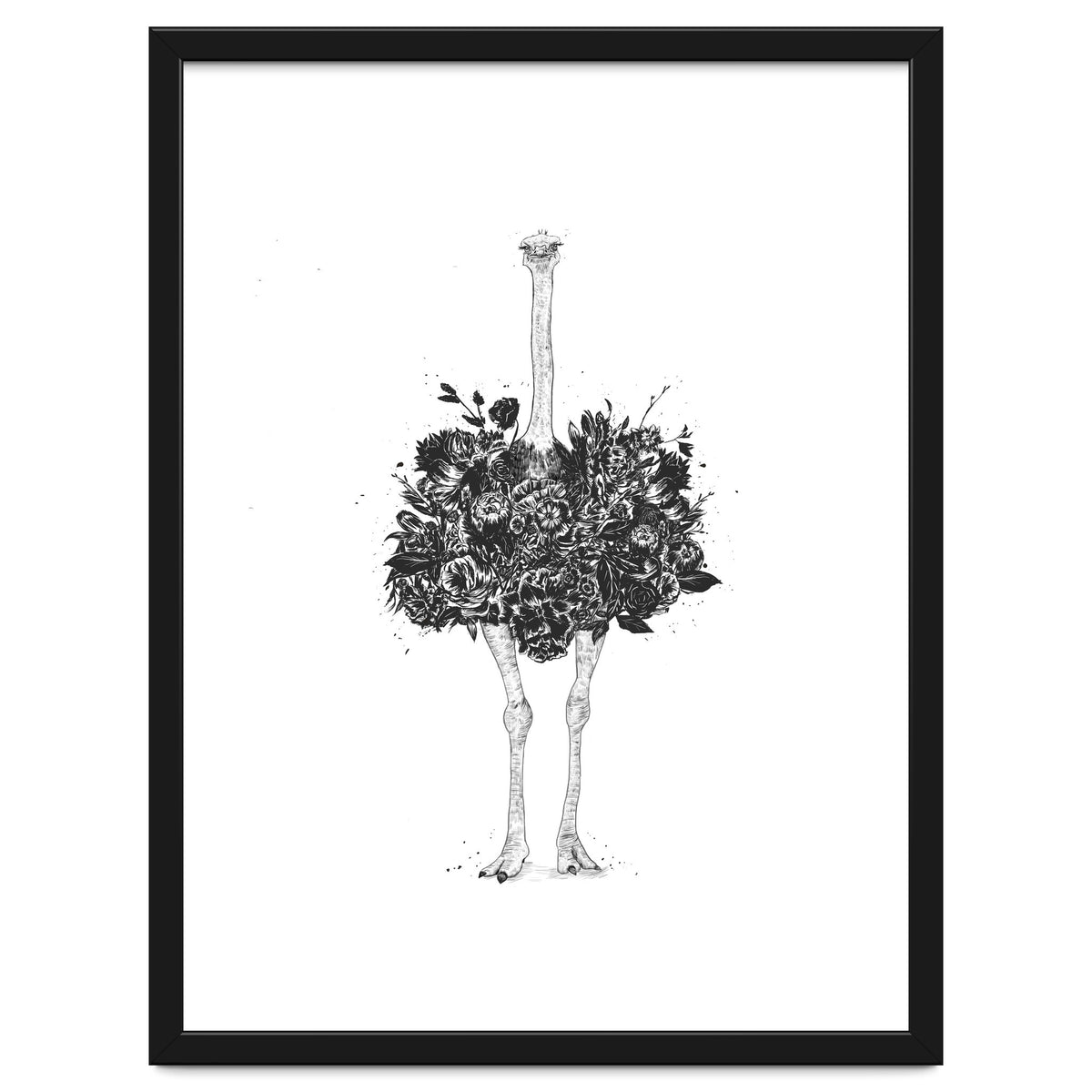 Floral Ostrich