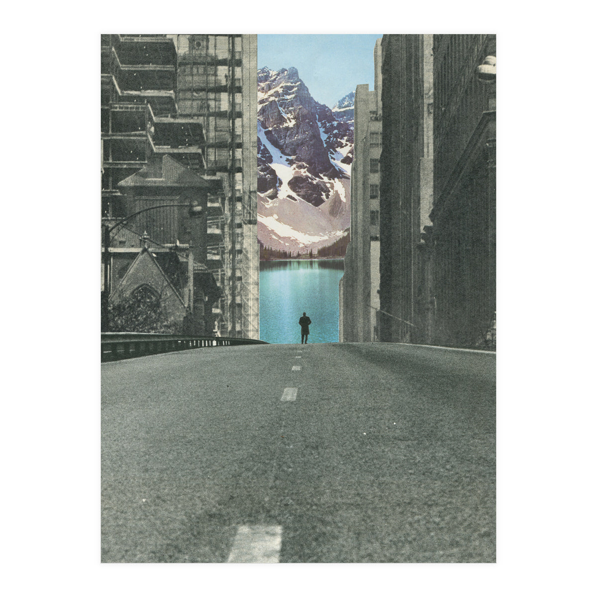 Into The Wild (Print Only)