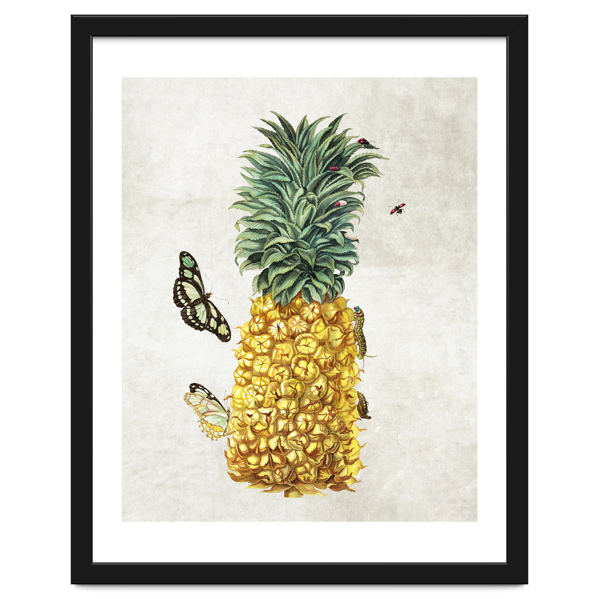 ananas