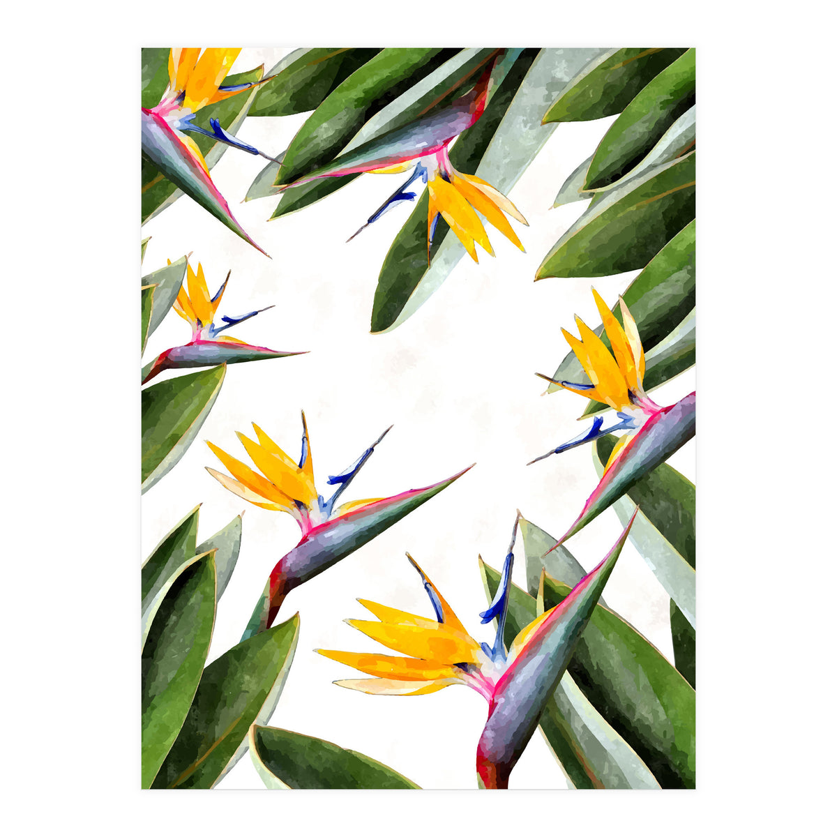 Bird Of Paradise (Print Only)
