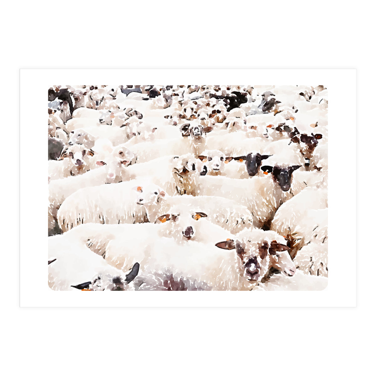 The Herd (Print Only)