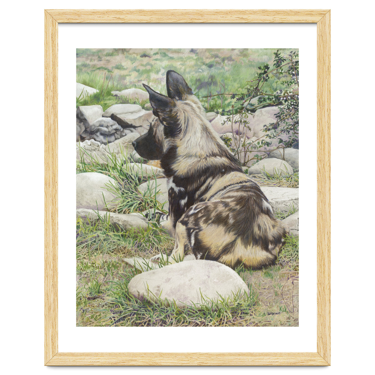 African Painted Dog I