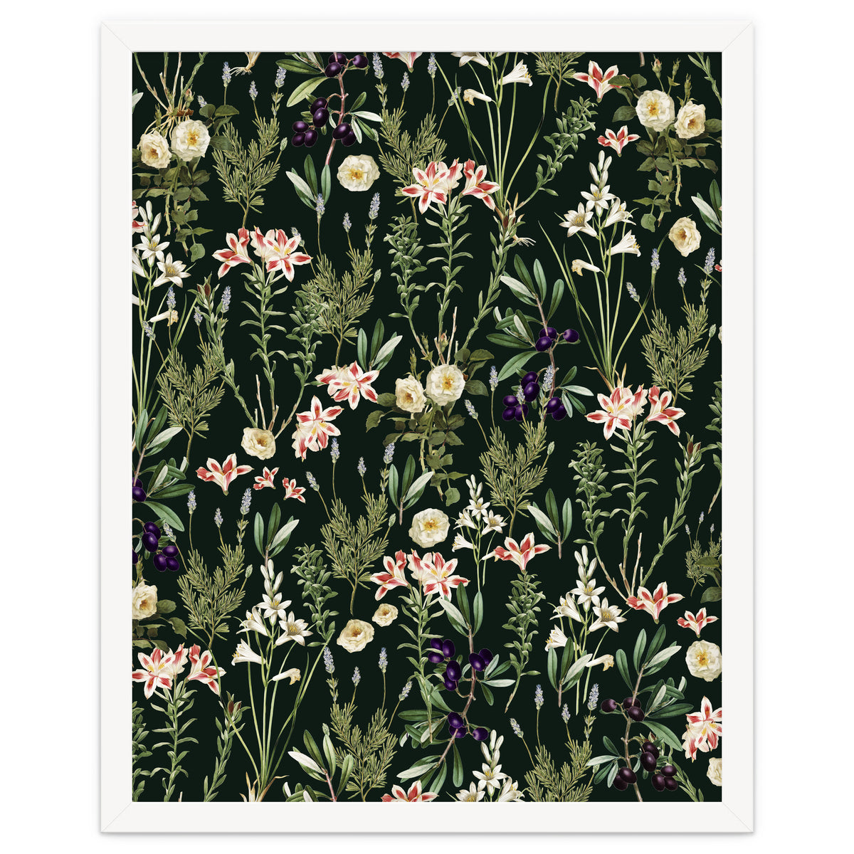 Dark Botanical Garden