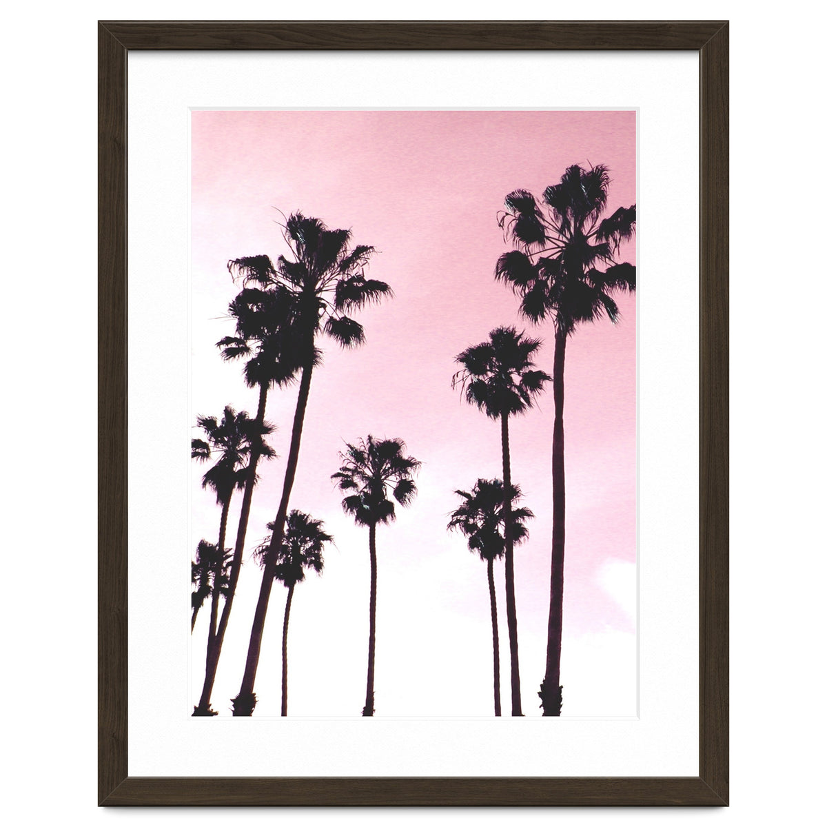 Palms & Sunset