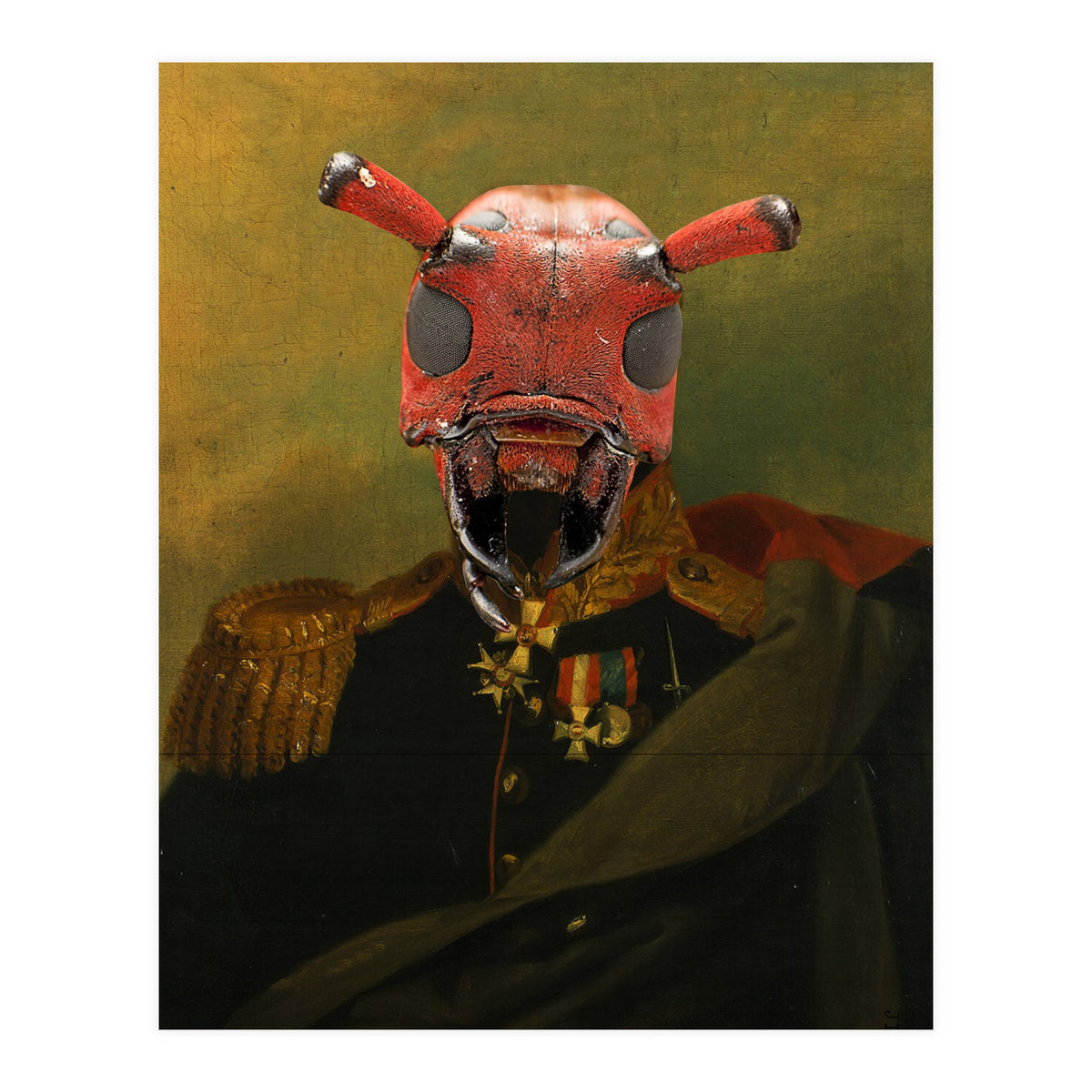 Bugged Out  (Print Only)