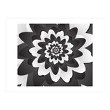 Mono Chrome Flower Spiral Pattern (Print Only) thumbnail