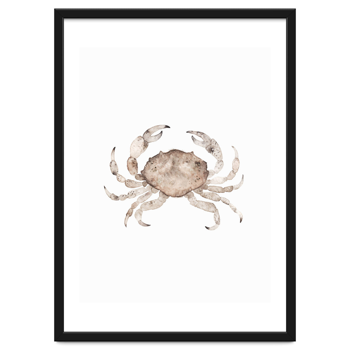 Crab