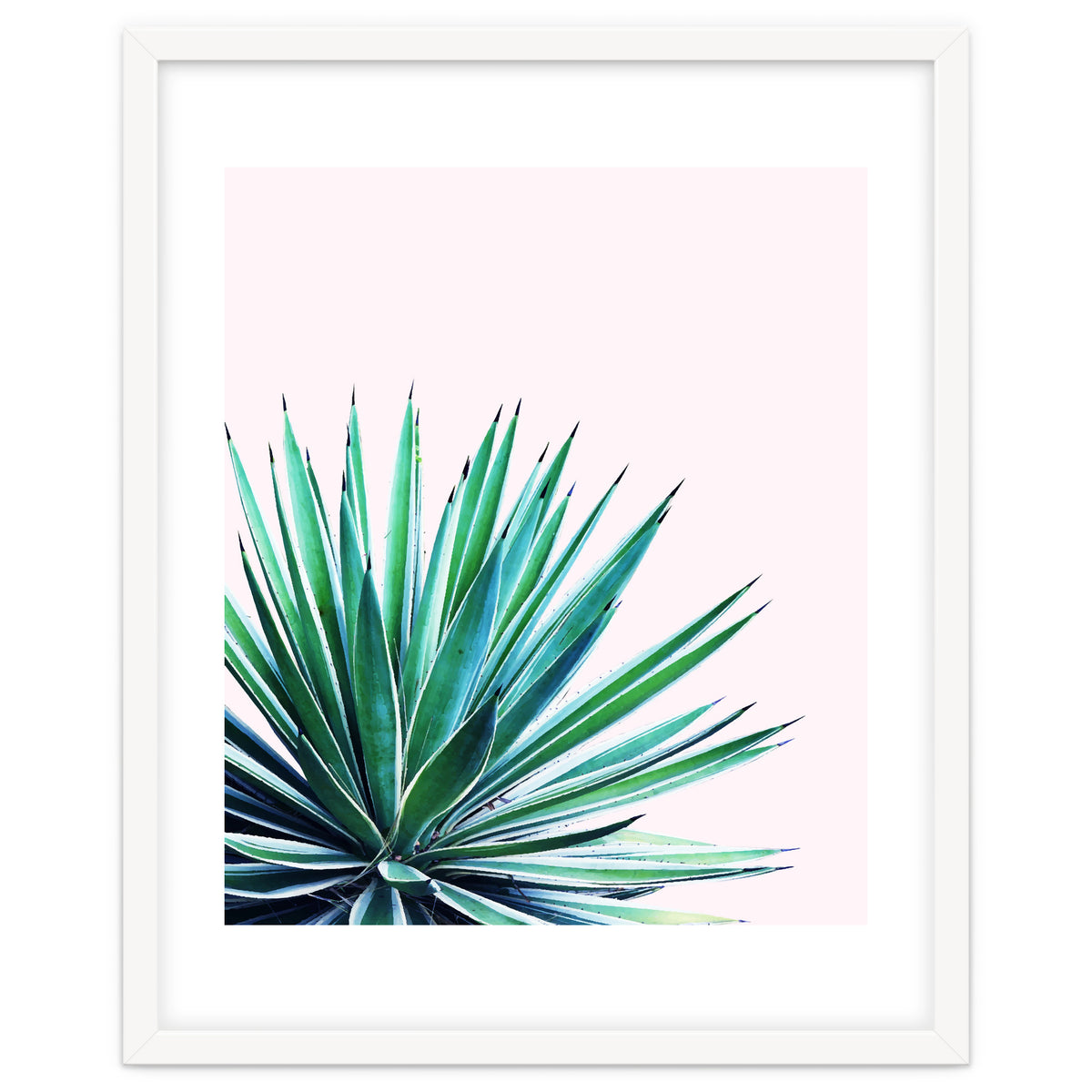 Agave Love