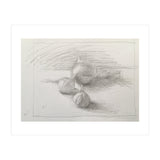 Still Life with Three Veg (Print Only) thumbnail