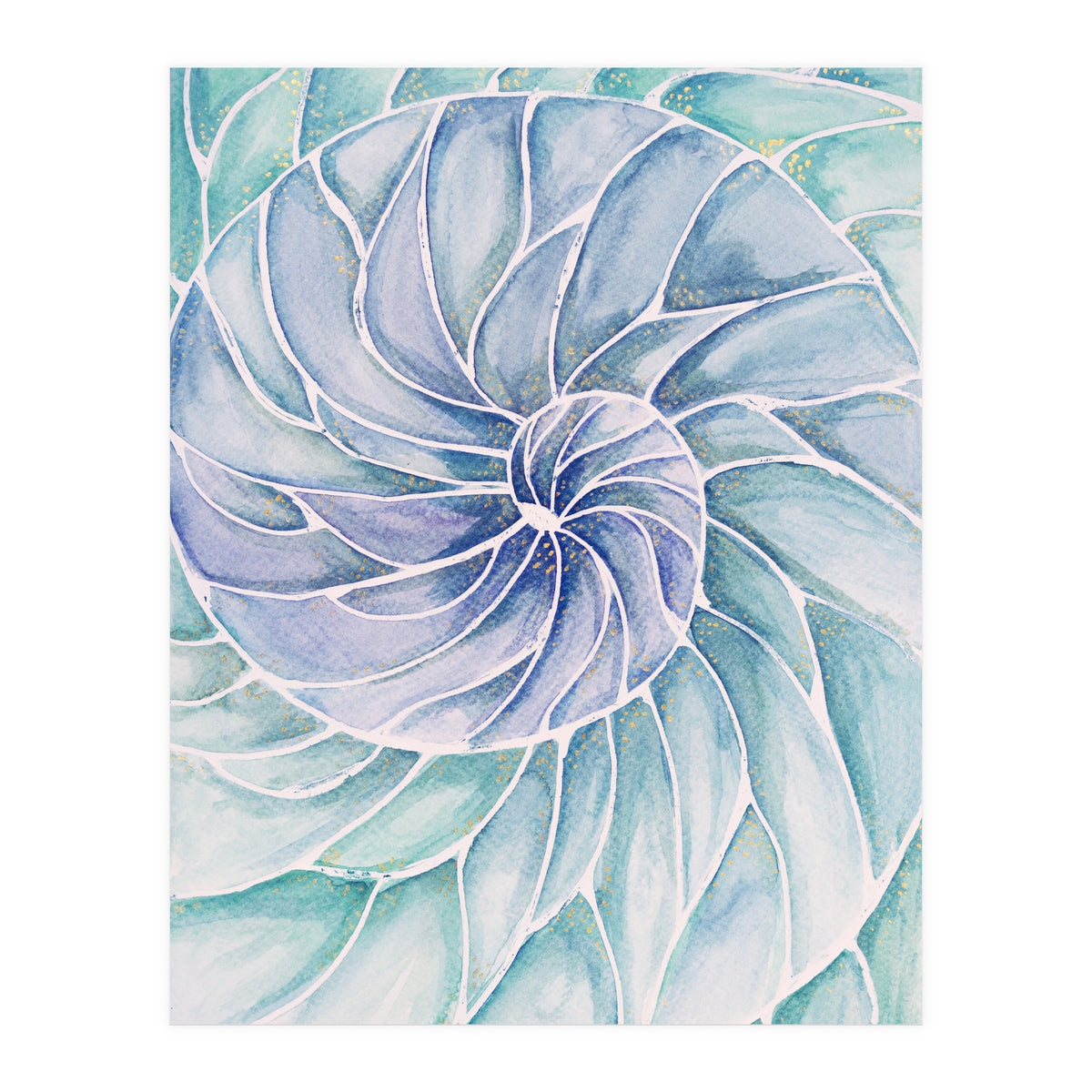 The inside of a shell (Print Only)